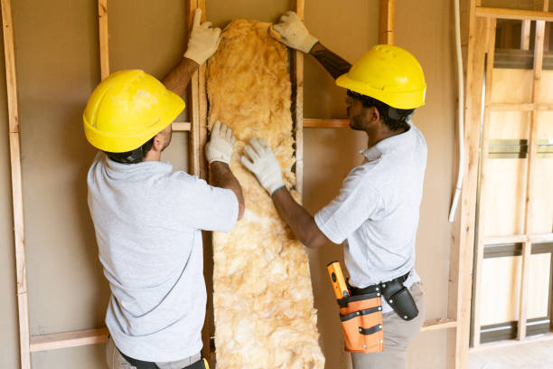 Best Cellulose Insulation  in Lakemore, OH